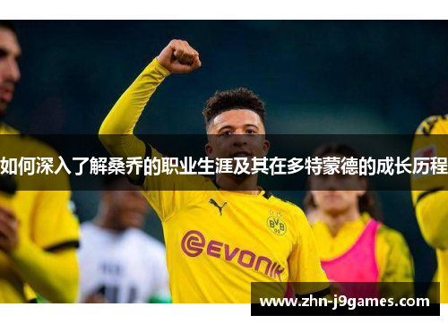 如何深入了解桑乔的职业生涯及其在多特蒙德的成长历程